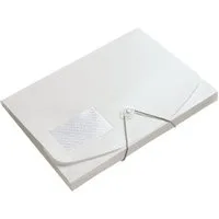 FOLDERSYS Organisationsmappe Jumbo, DIN A4, bis 500 Blatt