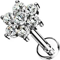 Taffstyle Piercing-Set Tragus Labret Ohr Stecker Piercing flach Zirkonia Blume Silber 6mm (Helix Rook Lobe Daith Conch Orbital Snug Ohrring Piercing), Helix Innengewinde Ohrstecker Ohrpiercing Cartilage Knorpel Ohr Tragus