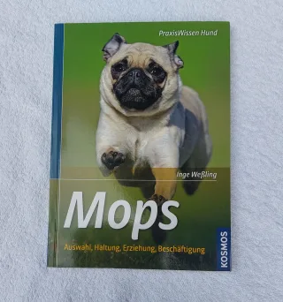 Mops: Auswahl Haltung Erziehung Beschäftigung (Praxiswissen Hund)