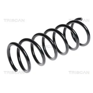 Triscan Feder hinten Ford Mondeo 4 875016080