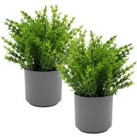 Kunstpflanze Grünpflanzen Arragement 22 cm im grauen Topf künstliches Ziergras, Spetebo, Höhe 22 cm, 2er Set - Künstliche Grünpflanzen mit Blumentopf
