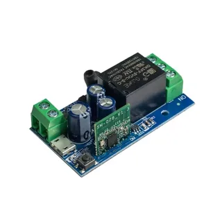 EWelink Smart WiFi Relay Switch DC 5V 12V 24V 48V Wireless Remote Control 1 Channel Alexa Google Home Voice Control