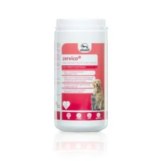 Fortan Cervico Pulver mit Biotin 900 g