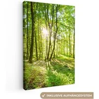 OneMillionCanvasses® Leinwandbild Natur - Bäume - Wald - Grün - Sonnenlicht, Fotodruck (1 St), Leinwand Canvas Wandbild, Wanddekoration 20x30 cm
