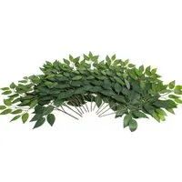 Kunstzweig Ficuszweig Ficus, Botanic-Haus, Höhe 57 cm