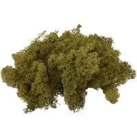 VBS Bastelmoos Island, 100 g