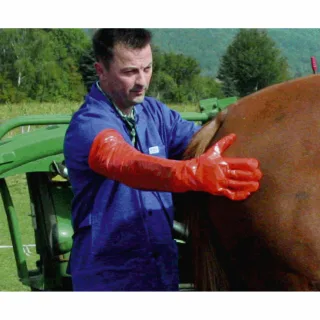 Veterinärhandschuhe orange - 14696