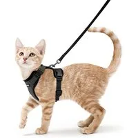 LuxusKollektion Katzen-Geschirr Katzengeschirr mit Leine schwarz ausbruchsicher verstellbar XS
