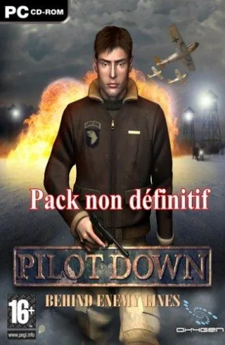 Pilot Down: Behind Enemy Lines