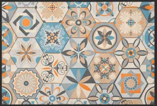 Fussmatte 10058 | Größe: 60 cm x 45 cm