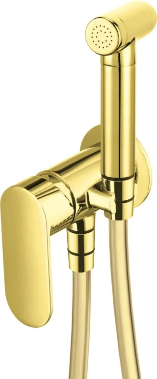 Neuesbad Serie 100 Bidetarmatur, Unterputz, mit Bidet-Handbrause, Oberfläche: gold NB1DEBGA_Z34M1