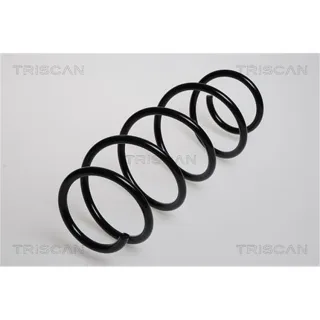 Triscan Feder vorne Skoda Fabia VW Polo 875029121