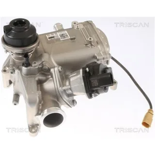 Triscan AGR-Ventil Audi A4 A5 A6 A7 A8 Q5 Q7 3,0