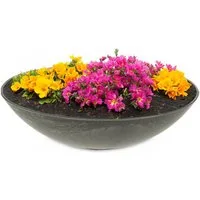 matches21 HOME & HOBBY Blumentopf Flache Pflanzschale für draussen Dekoschale rund schwarz 25 cm (1 St), Blumen-Schale als wetterfeste Friedhof-Schale Grab-Schmuck Grabschale