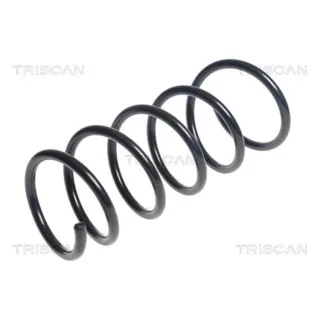 Triscan Feder hinten Dacia Duster 875025111