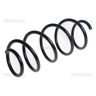 Triscan Feder vorne Mercedes A-Klasse W169 B-Klasse W245 875023214