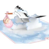 papercrush Geburt (Mädchen) Geburtskarte Storch & Baby (Rosa), Pop-Up Karte zur Geburt von Mädchen, Handgemacht
