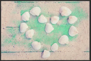 Fussmatte Muscheln 10151 | Größe: 60 cm x 45 cm