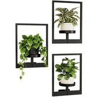 Bamworld Blumenampel Hängegefäße für Zimmerpflanzen, Wanddeko, 3er-Set für Außenbereich (3 St), Wand Pflanzensockel, Innen Wohnzimmer & Garten
