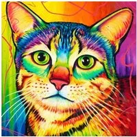 LA CUTE Malen nach Zahlen 5d Diamond Painting Bunte Katze Malen nach Zahlen 30x30cm (Komplettset für 5D Diamond Painting inklusive Leinwand, Diamanten und Werkzeugen, Diamond Painting Set mit Zubehör für DIY-Kreativität und Entspannung), 30x30cm 5D D
