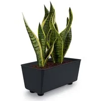 KONZEPT Blumenkasten Blumentöpfe mit Füßen, rechteckig – kleine Blumenkästen 4,2 L (1 St), 284x168x173 mm, ideal für Fensterbank & Zimmerpflanzen