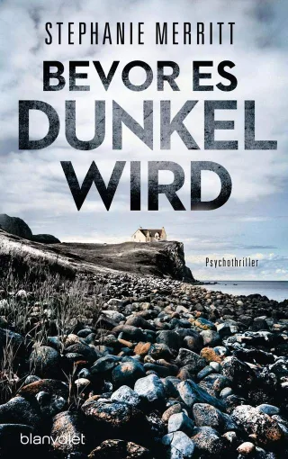 Bevor es dunkel wird: Psychothriller