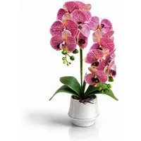 Kunstorchidee PASCH® Orchidee künstlich wie echt in Hochglanz-Keramiktopf Orchidee, PASCH, Hochglanz Keramiktopf