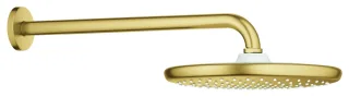 GROHE Kopfbrause-Set Tempesta 250 26663, 1 Strahlart cool sunrise gebürstet, 26663GN0 26663GN0