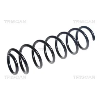 Triscan Feder hinten BMW I3 875011225