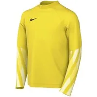 Nike Fußballtrikot Nike Performance Park V Torwarttrikot Langarm Kids Teamsport