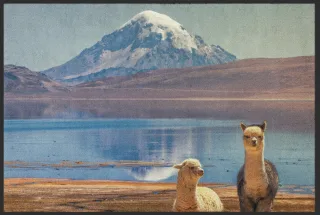 Fussmatte Alpaca 10331 | Größe: 60 cm x 45 cm