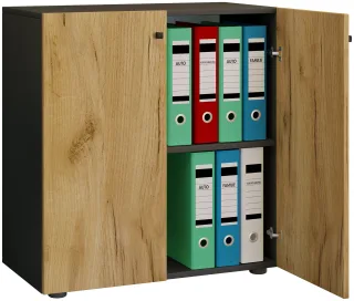 VCM Aktenschrank "Büroschrank Bücher Ordner Aktenschrank Lona 2fach" 1 Stk. tlg.