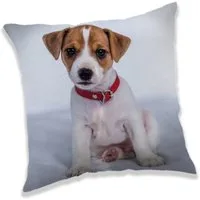 Javoli.com Dekokissen Hund Zierkissen 40X40 cm