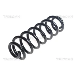Triscan Feder hinten VW PASSAT ALLTRACK B7 B8 2,0 875029391
