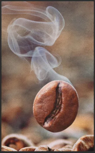 Fussmatte Kaffeebohne 7136 | Größe: 60 cm x 90 cm