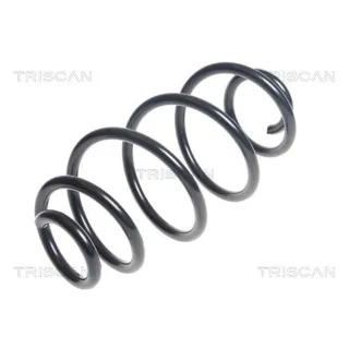 Triscan Feder hinten Fiat Doblo Opel Combo 875015202
