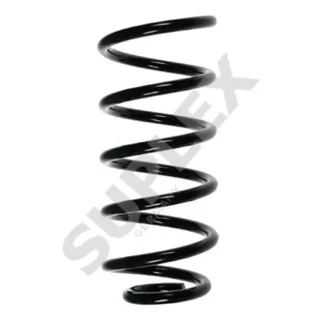 Suplex Feder hinten Smart Roadster
