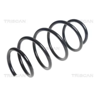Triscan Feder vorne Renault Megane 3 875025119