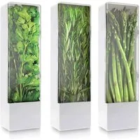 BlingBin Frischhaltedose Kräuterbehälter für Kühlschrank, Kräuter Aufbewahrungsbehälter, Kunststoff, (1er Ser, 3-tlg., 27 × 8,7 × 7,5 cm), Langfristige Frischekonservierung, Kräuteraufbewahrung für Koriander