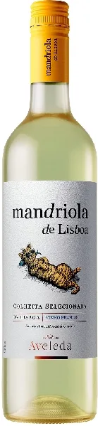 Mandriola de Lisboa Branco Jg. 2024