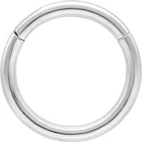Wildcat Nasenpiercing Hinged Ring für Ohr, Nase, Lippe, Bauchnabel, 1 Stück, Titan Grad 23 - wasserfest, hautverträglich, Weißgold