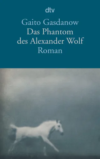 Das Phantom des Alexander Wolf: Roman (dtv Literatur)