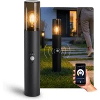 SSC-LUXon LED Gartenstrahler VARDA Wegeleuchte mit Bewegungsmelder Smart LED E27 WLAN warm kalt, Neutralweiß, Warmweiß, Tageslichtweiß