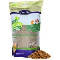 Lyra Pet 1 kg Lyra Pet® Soldatenfliegenlarven Vogelfutter, für: Reptilien, Nager, Wildvogel, Fisch