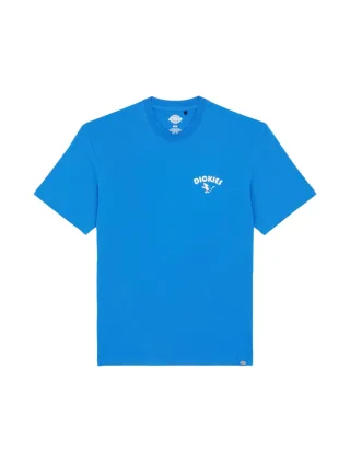 HERREN T-SHIRT GOOSE TEE SS (DK0A863GJ531)