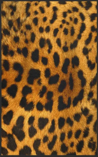 Fussmatte 7647 | Größe: 150 cm x 190 cm