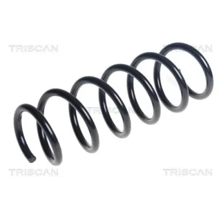 Triscan Feder vorne BMW 5er G30 875011256