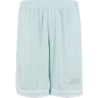 Karl Kani Shorts Karl Kani Small Varsity Logo Pinstripe Mesh Shorts (1-tlg)