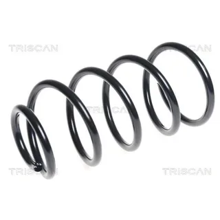 Triscan Feder vorne Ford C-Max 875016093