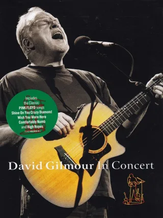 David Gilmour - David Gilmour in Concert